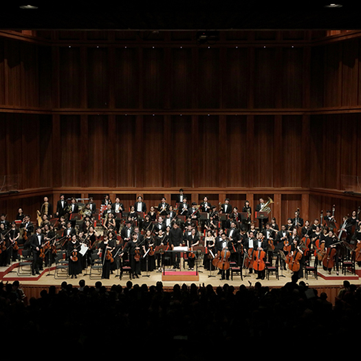 兵庫芸術文化センター管弦楽団 特別演奏会　<br>佐渡 裕　音楽の贈りもの