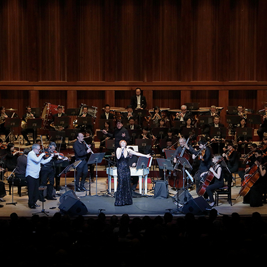 兵庫芸術文化センター管弦楽団　第111回定期演奏会　<br>「佐渡 裕　オーケストラのエスプリ！」