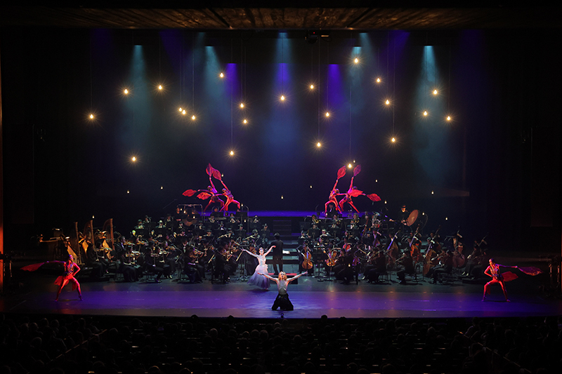 兵庫芸術文化センター管弦楽団　第142回定期演奏会<br>「井上道義　最後の火の鳥」