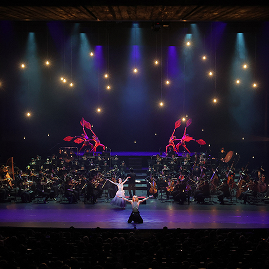 兵庫芸術文化センター管弦楽団　第142回定期演奏会<br>「井上道義　最後の火の鳥」