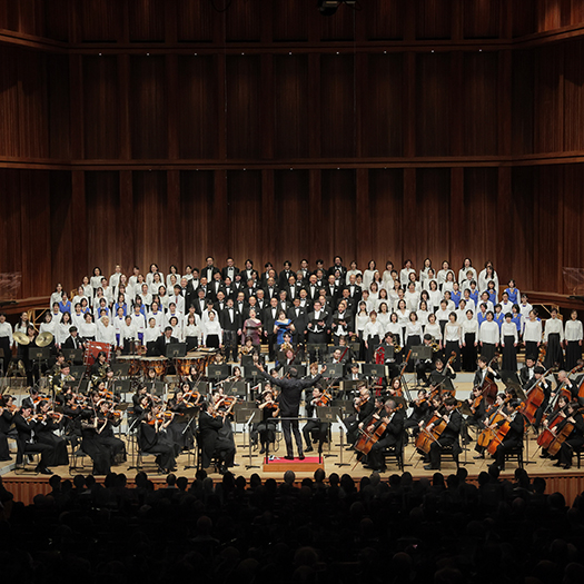 佐渡裕芸術監督プロデュース <br>兵庫県立芸術文化センター 開館20周年記念演奏会